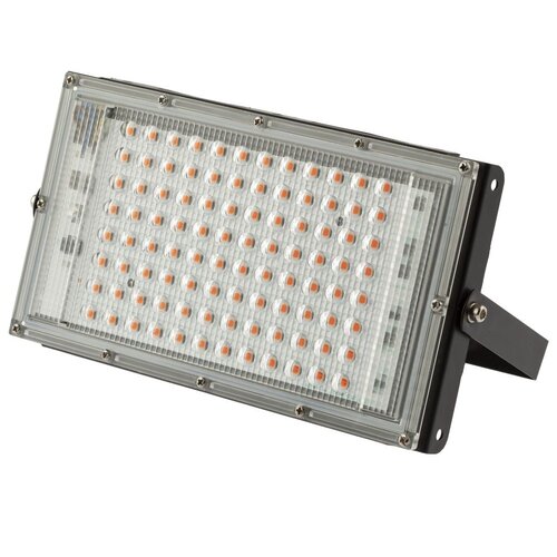        FITO-80W-RB-LED-Y 0053082,   -     , -,   