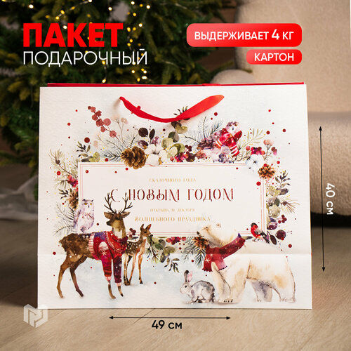 ���� ����� ���������� �������� ������, XL 49 � 40 � 19 ��, ���������� �����