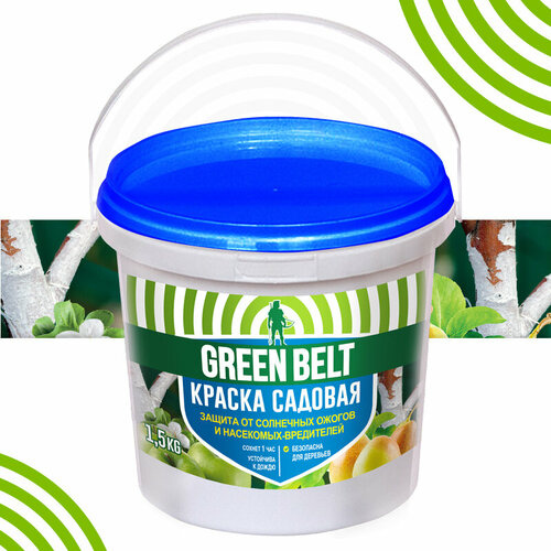 ���� ������ ������� ���������