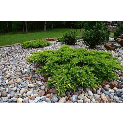 ���� ������������ ������������ ���� ������