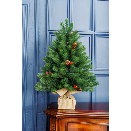 ���� ��� ������������� ���������� �������� ���������� ������� ����� ������ � ������� � ������� .