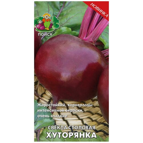 ���� ������ ����� ������ �������� ��������� 3 �