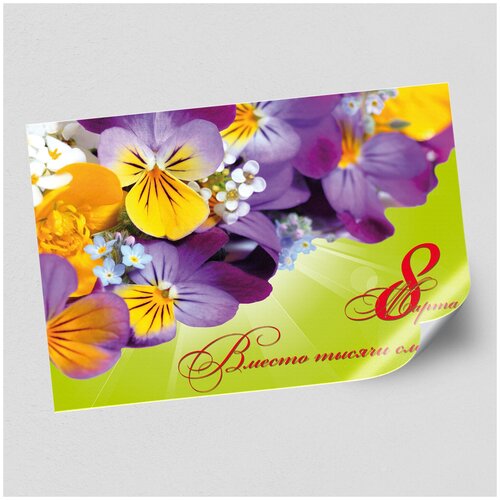 ���� ����������/������ �������������� �� 8 �����, ������ �-2 (60x42 ��.)