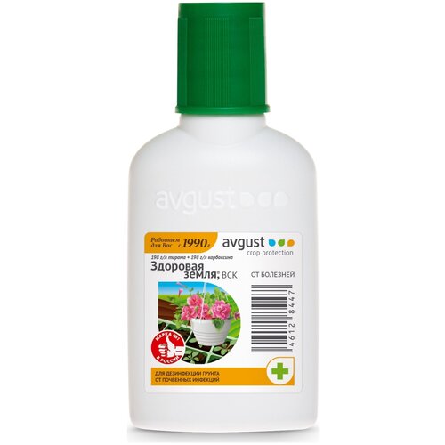   Avgust      , 50   -     , -,   