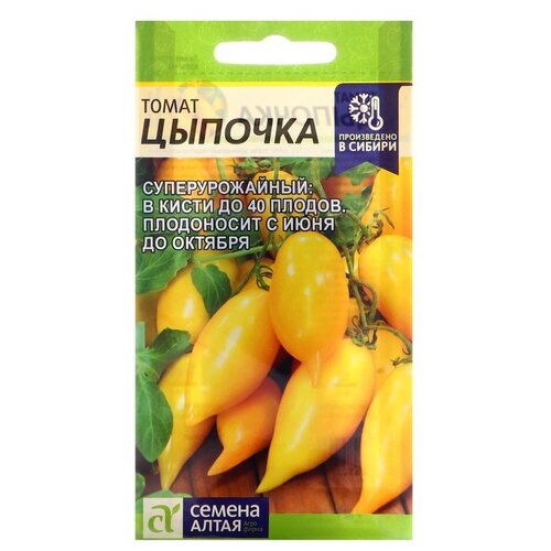 ���� ������ ������ ����� ����� �������, 10 ��.