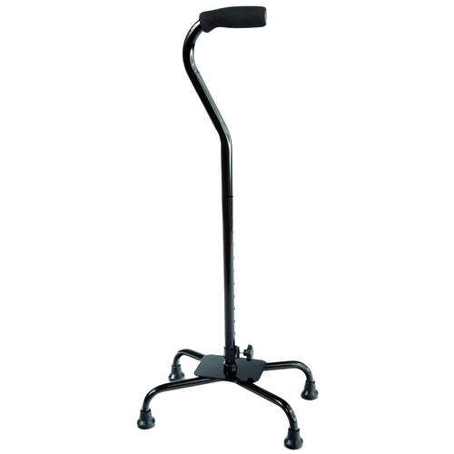 ���� ������ �������������� C Qlever L