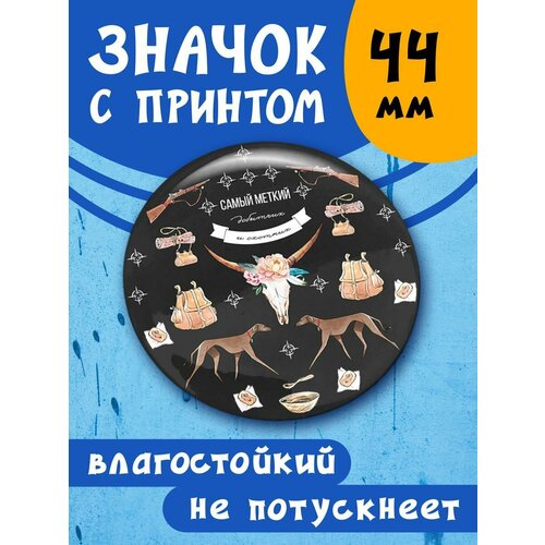 ���� ������ ������ �������� � �������