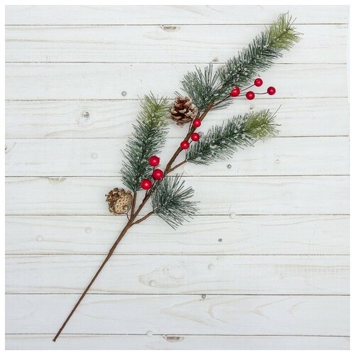 ���� ����� 