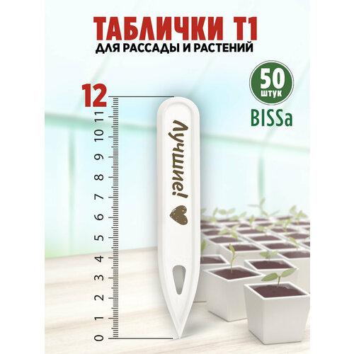        , Bissa 1, , 50   -     , -  