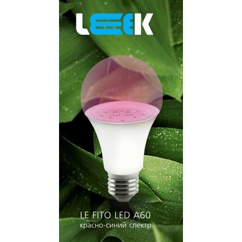     -  LEEK, 60, 27, 9 , 250   -     , -,   