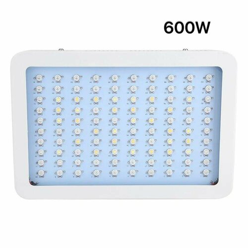      LED LIGHTS 600W  -     , -  