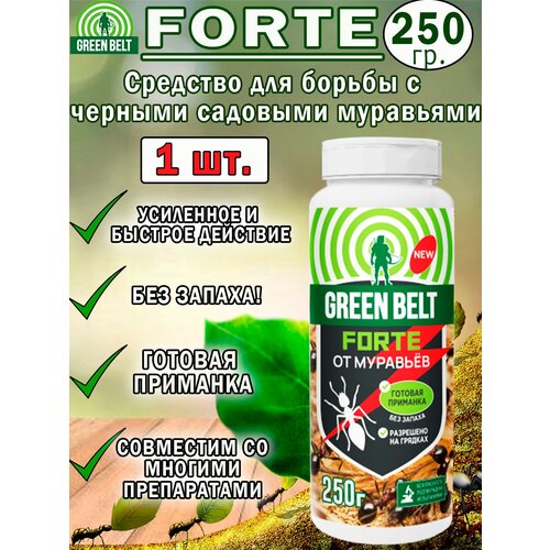       Forte 250, 1 