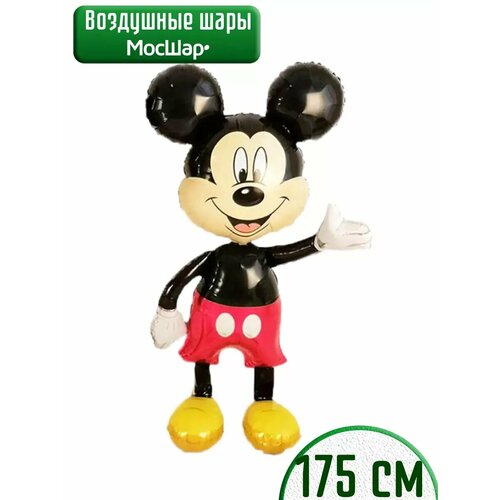 ���� ��������� ��� ������� �� ������ ����� ����, ������� 175 ��