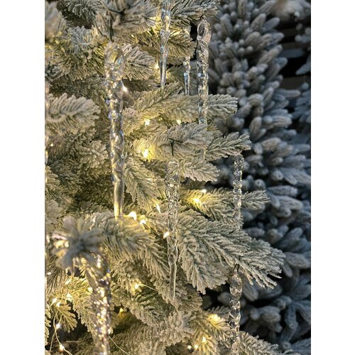 ���� ����� ������� ��������� �������� 12 ��