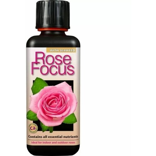    , Rose Focus 300     