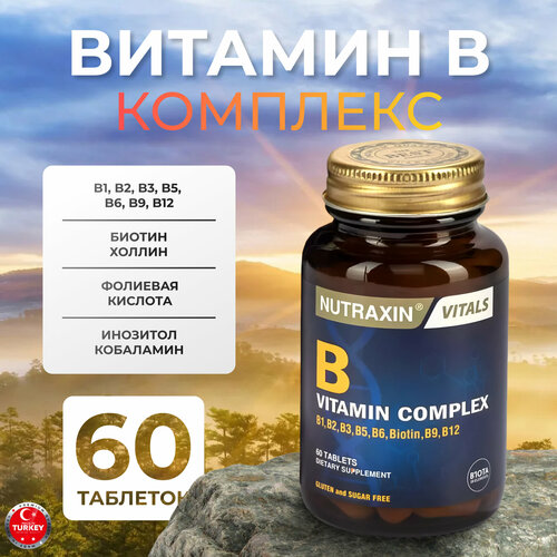 ���� �������� ������ �