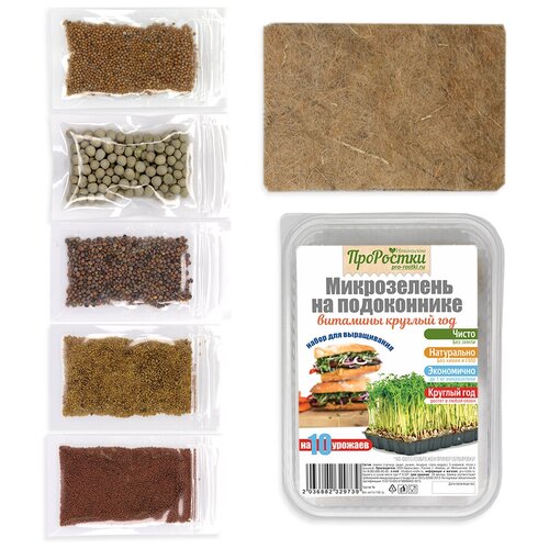 ���� ����� ��� ����������� 