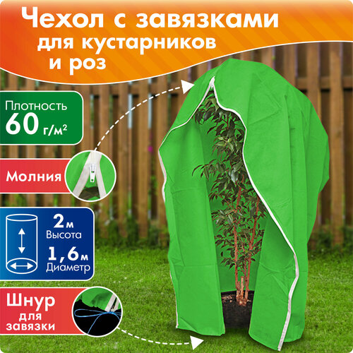 ���� ������ ����� ��� ����������� � ��� ������������� �� ������, ������ 2 �, ������� 1,6 �