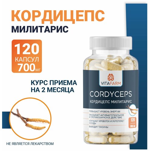     (Cordyceps militaris)  120 / 700   -     , -  