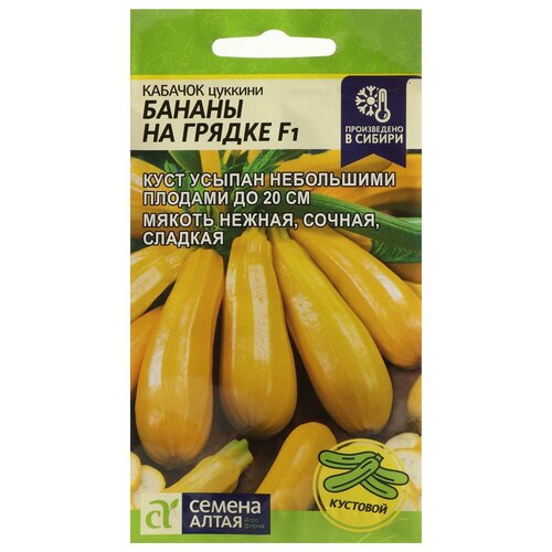 ���� ������ ������� 