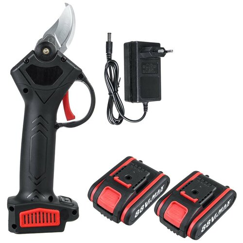 ���� ������� ��������������