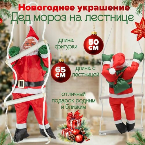 ���� ��� ����� �� �������� 50 ��, 1 ��� �����, ����� ��������� � ��������� 65 ��