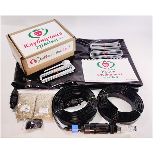 ���� ������ 