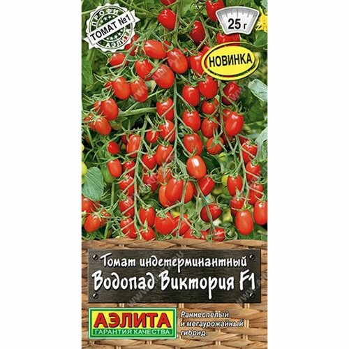 ���� ������ ����� ������� �������� F1 (������) 10�� �����-������