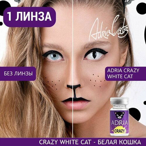     ADRIA Crazy, 1 ., R 8,6, D 0, ADD: , white cat, 1 .  -     , -  