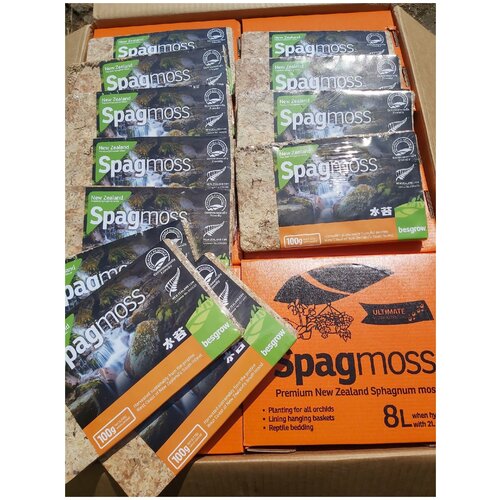   SPAGMOSS ()    8  -     , -,   