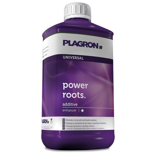   Power Roots 1  -     , -,   