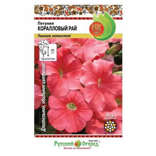 ���� ������ ������� 