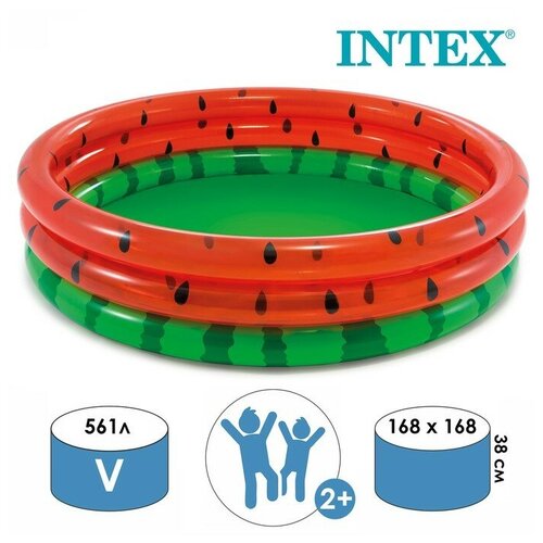   INTEX   , 168  38 ,  2 , 58448NP INTEX  -     , -,   