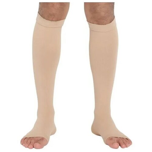 ���� ������ ������� Ergoforma, 2 ����� ����������, 322, ���� �������, ������ 5