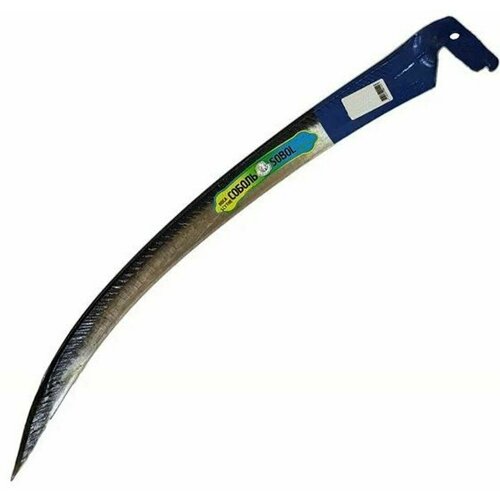 ���� ���� 