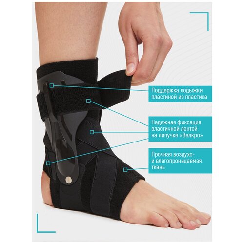 ���� Glanis ������ ������������� �������� �������������� ������� � ������� ���������, ������, ������ L