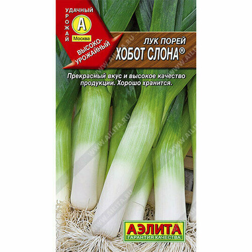 ���� ������ ����-����� ������ 