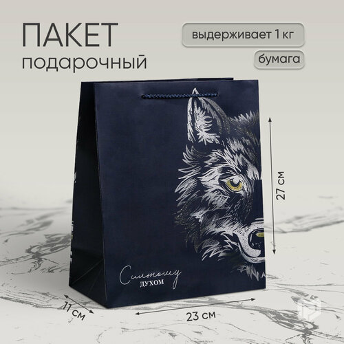 ���� ����� ���������� ��������� �����, 23 ? 27 ? 11,5 ��