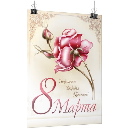 ���� ������ �� 8 ����� / �-0 (84x119 ��.)