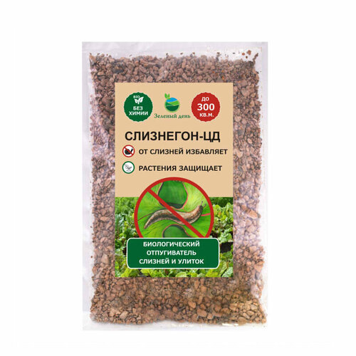 ���� ���������-�� ������� �� ������� � ������ (250 �)