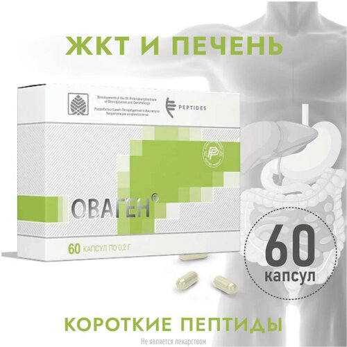 ���� ������ ����., 0.2 �, 60 ��., 1 ��.