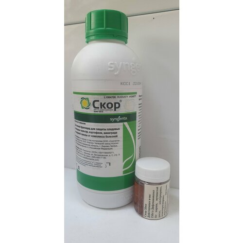 ���� �������� 