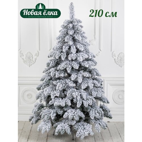 ���� ��� ������������� 