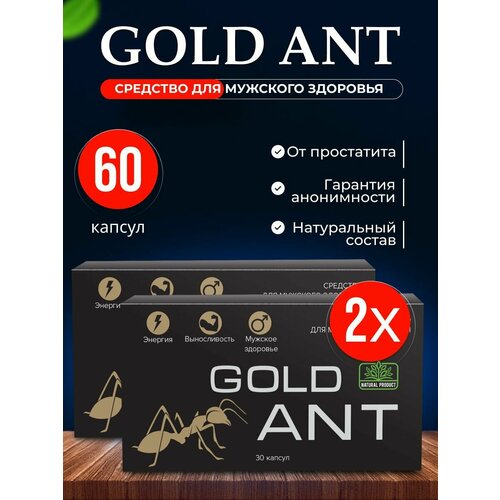     Gold Ant ,  ,    60   -     , -  