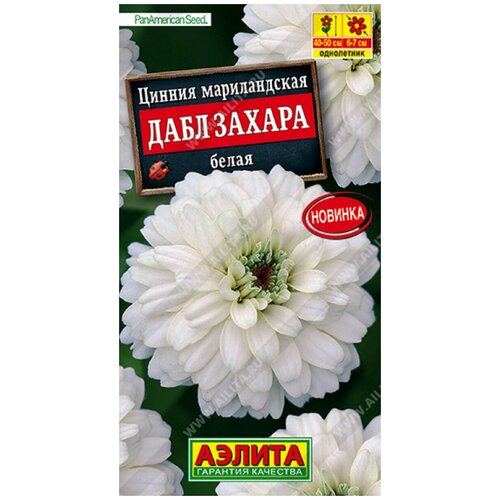 ���� ������. ������ 