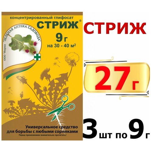 ���� �����. �������� �� �������� ������� ������ �������� 