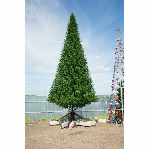 ���� ���� ������������� ������� ��������� ����������, 5,5 ������, ���� ���