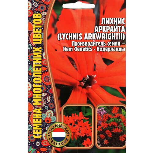    , LYCHNIS ARKWRIGHTII,  ( 1 : 0.04  )  -     , -,   