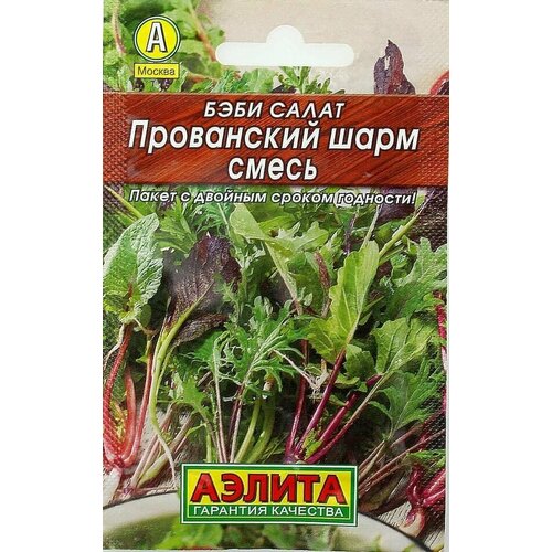 ���� ������. ���� ����� 