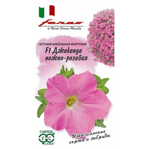 ���� ������ ������� �������� F1 �����-������� 10�� (������)